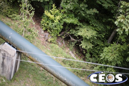 Tests St Dalmas September 2020