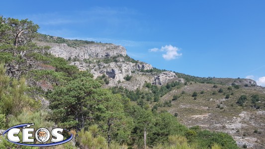 Spotting locations at St Dalmas 2019 (penstock pipes)